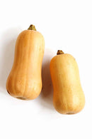 Butternut Squash BIO