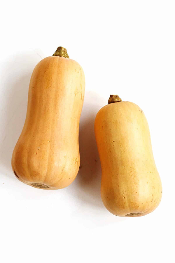 Courge Butternut BIO