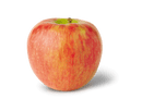 Honey Crisp Apples