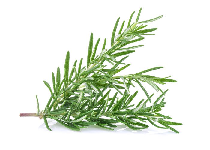 Rosemary