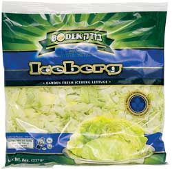 Iceberg BODEK