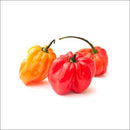 Jamaican Peppers