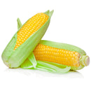 Corn