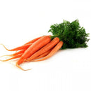 Fresh Carrots