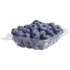 Blueberries BIO
