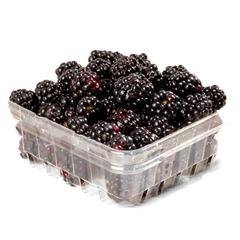 Blackberries BIO