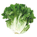 Escarole