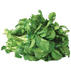 Bouquet de roquette fraîche