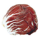 Radicchio