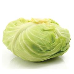 Flat Green Cabbage