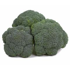 Brocoli BIO