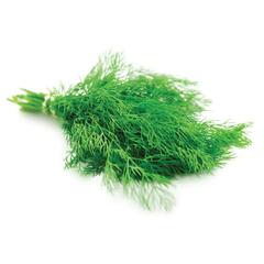 Fresh Dill