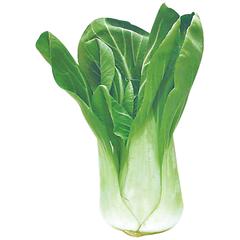 Bébé bok choy