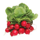 Fresh Radish