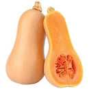 Butternut Squash