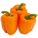 Orange Bell Peppers BIO