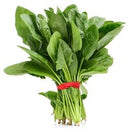 Fresh Spinach