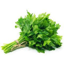 Italian Parsley
