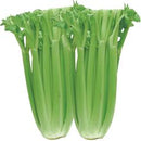 Celery