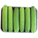 Lebanese Cucumbers