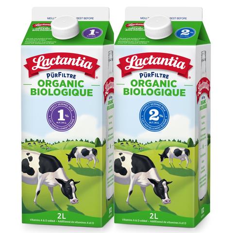 Lactantia Organic Milk