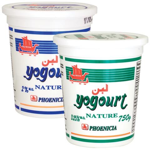 Phoenicia Plain Yogurt